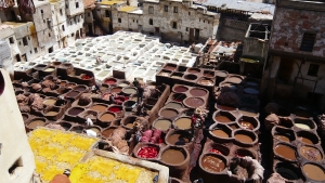 Sampling the sights and smells of the ancient tanning pits in Fès